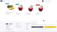 JTL Shop Plugin - customerSwitch - 14 Tage Kostenlos